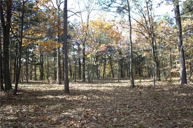 0 4540 Rd unit 1306170, Ozone, AR 72854 - photo 3