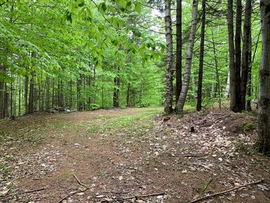 140 Winthrop Dr, Shelburne, NH 03581 - photo 2