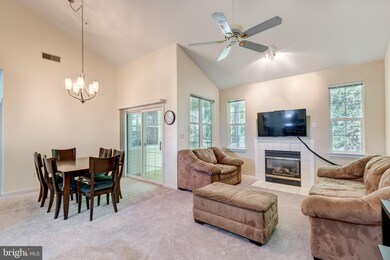 5004 Willow Branch Way unit 304, Owings Mills, MD 21117 - photo 5