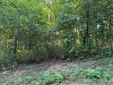 0 Trailwood Dr unit 407720, Ellijay, GA 30536 - photo 2