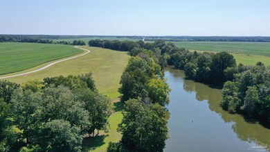 Lot 21 Judge Greene Place unit 1637, Greensboro, AL 36744 - photo 6