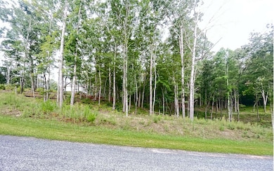 Additional View