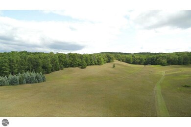 0 E Lincoln Rd unit 1885083, Cedar, MI 49621 - photo 2