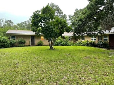 Back yard  area