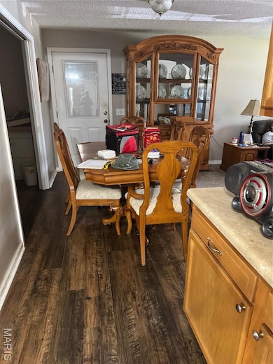 1013 Susan St, Dexter, MO 63841 - photo 6