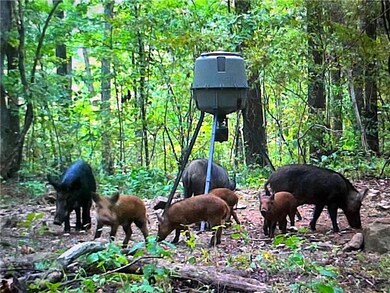 0 Madison 4099 unit 1322233, Crosses, AR 72727 - photo 2