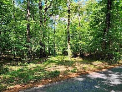 145 S Sugar Creek Rd, Eatonton, GA 31024 - photo 2