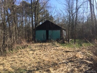 Old Tool shed on trail