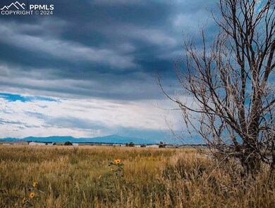 15915 Willie Ln, Peyton, CO 80831 - photo 4