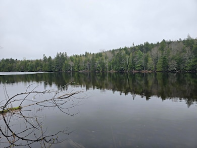 Lot  D Deer Point Rd W, Robbinston, ME 04671 - photo 6