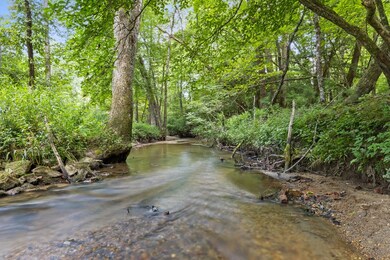 127 Twin Creeks, Blue Ridge, GA 30513 - photo 6
