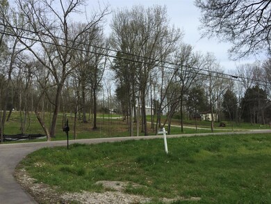 2nd view of land to the north. Gravel driveway already in.