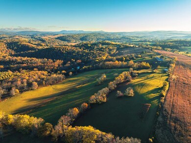 2616 Pope Rd, Ivanhoe, VA 24350 - photo 6