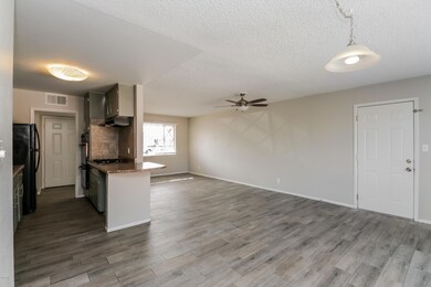 2030 E Aspen Ave, Mesa, AZ 85204 - photo 6