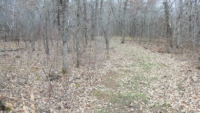 Lot 1 300th St, Sterling Township, WI 54024 - photo 3