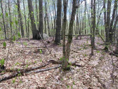 14 Knights Hill Rd unit Lot 14C, Bridgton, ME 04009 - photo 5