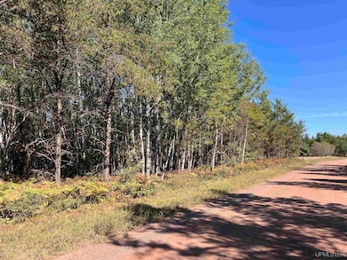 TBD E Martin Lake Rd, Forsyth Township, MI 49885 - photo 3