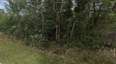 0 Reynolds Rd unit MFRO6292104, de Leon Springs, FL 32130 - photo 2