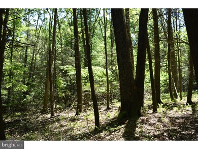 0 Summer Mountain Rd unit 1001713262, New Ringgold, PA 17960 - photo 5