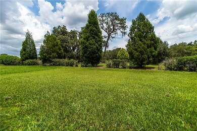BACKYARD/POND VIEW