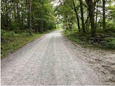 170 Mcnamara Rd, Middletown Springs, VT 05757 - photo 7