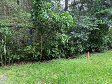 Yard and nature preserve