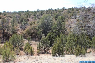 91xx Hideaway Trail, Silver City, NM 88061 - photo 3