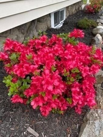 166 Fairhaven Rd, Worcester, MA 01606 - photo 5