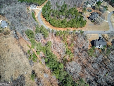 263 Principal Meridian Dr, Dallas, GA 30132 - photo 4