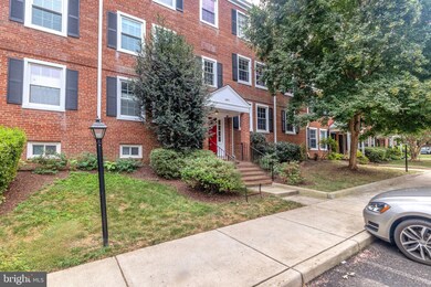 2971 S Columbus St unit B1, Arlington, VA 22206 - photo 2