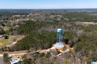 16082 House Rd, Brookwood, AL 35444 - photo 5