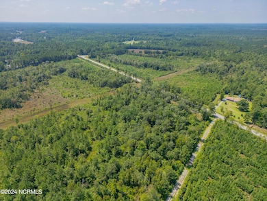 Near 949 General Howe, Riegelwood, NC 28456 - photo 2