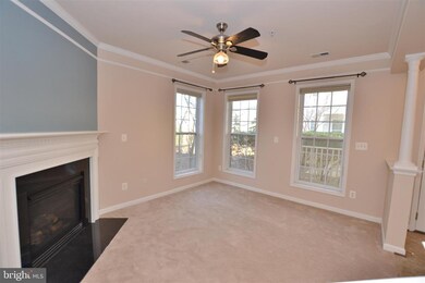 41998 Blue Flag Terrace, Stone Ridge, VA 20105 - photo 4