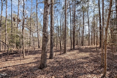 14-web-or-mls-P1023083