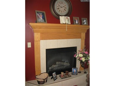 Fireplace in Detail