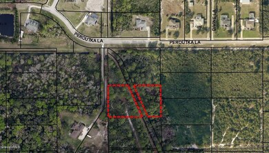 55179883_BrevardCounty.jpg