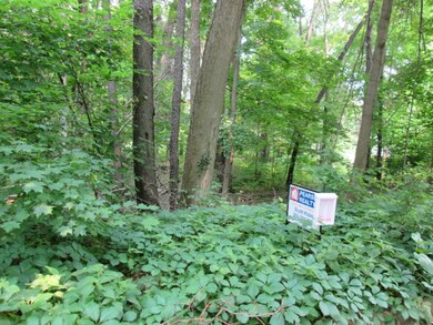 Wooded Lane 018