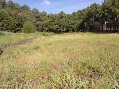 TBD Scenic View Rd, Ozark, AR 72949 - photo 4