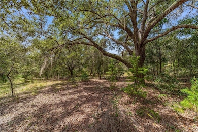 TBD SW Winding Hills Rd, Dunnellon, FL 34431 - photo 3