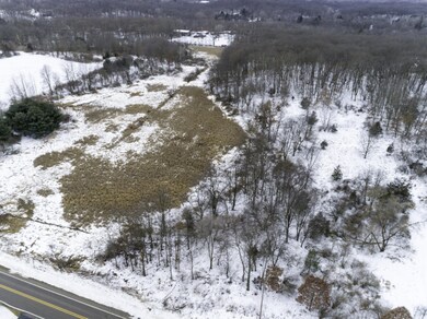 6233 Alaska Ave SE, Alto, MI 49302 - photo 2