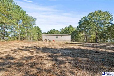 3037 Baxter Rd, Marion, SC 29571 - photo 4