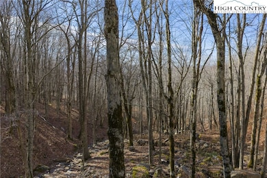 G54 Skycamp Overlook, Banner Elk, NC 28604 - photo 7