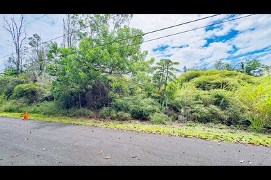 Looking to the left along Kala Street from approximate middle of lot 590.