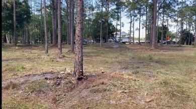 19950 Palm Beach Blvd, Alva, FL 33920 - photo 4