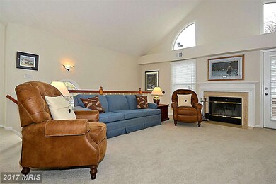 1429 Church Hill Place, Reston, VA 20194 - photo 6