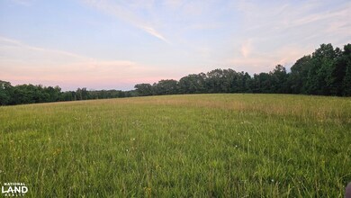 014 Tomahawk Slab Rd, Saint Joe, AR 72675 - photo 7