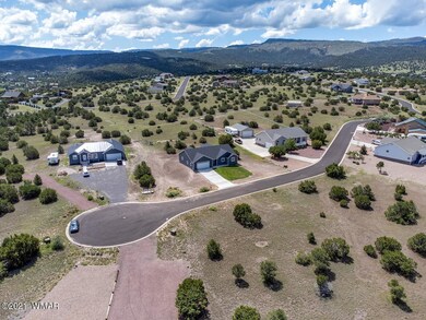 1323ElkCrestWay-Drone-JEmerald-7