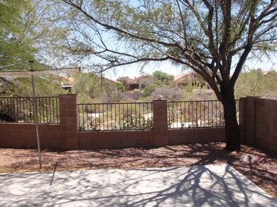 Vacant natural area behind backyard