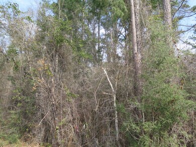 0 Gilmer Rd unit LotWP001, Taylorsville, MS 39168 - photo 7