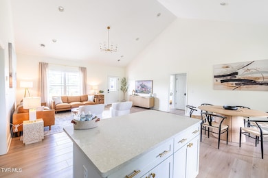 Kitchen to great room